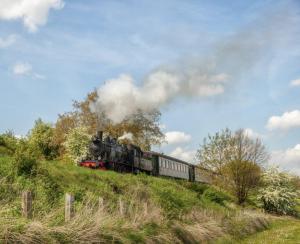 Bungalowpark Simpelveld - Delta 139