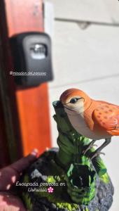 Cabaña Mirador del Paraíso