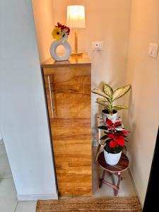 The Green&Grove Atelier at Hinjewadi, With 55 Inch Sony TV