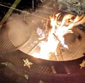 Lovely Safari Tent with River Access, Fire Pit and Barbecue in Staples, Texas