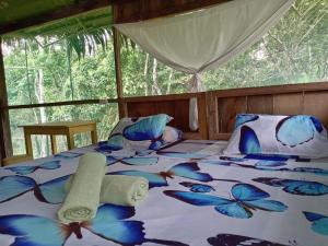 anguilla lodge expeditions