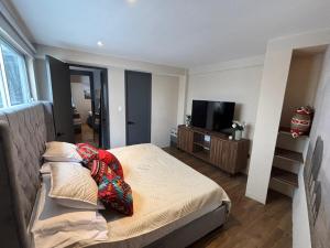 Modern Condo in Condesa, Iconic Ámsterdam Avenue