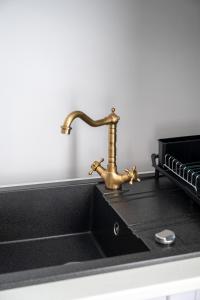 Apartament de închiriat Accommodation nr 10