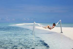 Gangehi Island Resort & Spa image 5