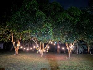 Secret Garden Mirissa