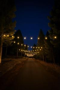 Pinebox at Evergreen Modern 20Acres -Serene-Creek