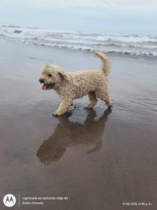 Casa cerca a la playa