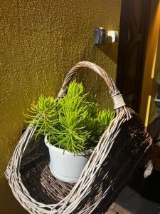 Green Lake Airport Apartments