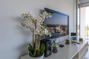 Modern seafront apartment