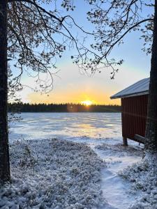 Aurora Wilderness-Kuorikki