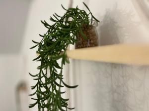 Grand Duplex avec terrasse au cœur de Blaye