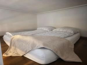 Small studio with loft bed