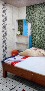 AALTAPORI HOMESTAY- BEST HOMESTAY in BUXA-JAYANTI