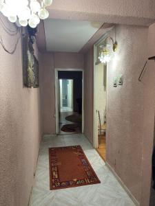 Apartament Brazda lui Novac