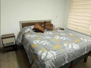 Departamento Movistar Arena