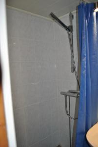 Orsastuguthyrning-Viborg