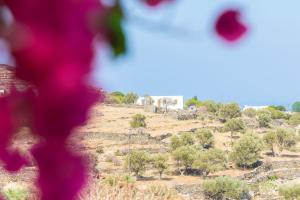 Nissos Suites Sifnos Greece