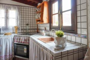 Casa Mercedes, Tamaimo