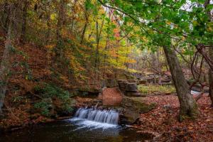 Cozy Mountain Getaway in Big Canoe