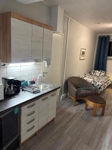 Inari Camping & Resort