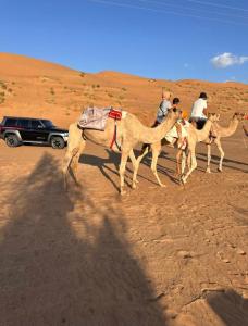 AL hawiyah camp
