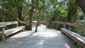 Endless Summer @ Ocean Oaks