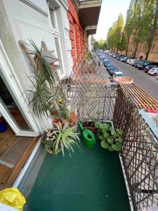 Old building apartment in cultural neighbourhood