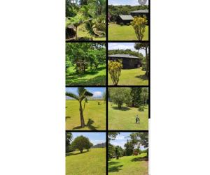 Jungle Cabin Leisure Bay