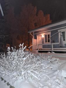 Northern Lights home for families - close to the Arctic Circle