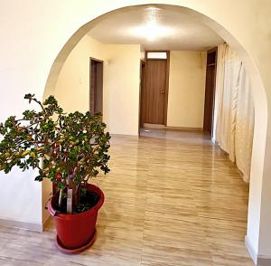 DEPARTAMENTO EN Riobamba ALBORADA VIP