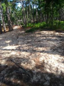 Casa Viva a 1 km da praia Moçambique