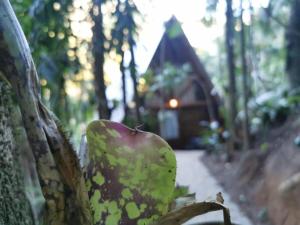 Chalé da Floresta