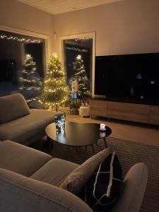 Brand new villa - Arctic Circle Hideaway