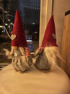 Brand new villa - Arctic Circle Hideaway