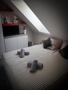 Apartmány Hradební 16