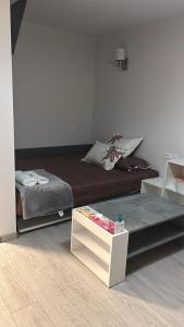 MANIU-APUSULUI Studio