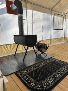 A Tranquil Outdoor Escape with Roaring River