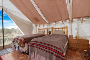 Unplug & Recharge Cozy Off-Grid Glamping