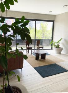 Modern Apartment Condesa