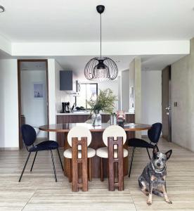 Modern Apartment Condesa