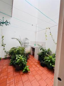 Espectacular y céntrico apartamento en el corazón de San Gil 1