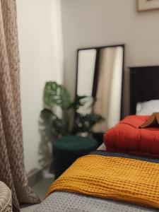 Couch Potato 1 BHK Neeladri Nagar