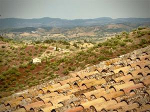 Casa Safari 305 by Villamya