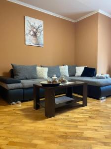Apartman Vučedolski san