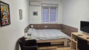 Cozy apartment in the center of Belgrade - living room, bedroom and bathroom