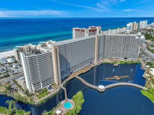 Sea Turtle at Laketown Wharf