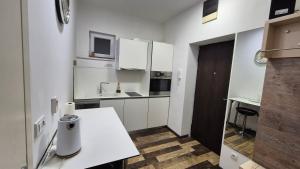 Cozy apartment in the center of Belgrade - living room, bedroom and bathroom