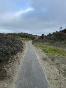 Prachtig, rustig en ruim appartement vlakbij zee