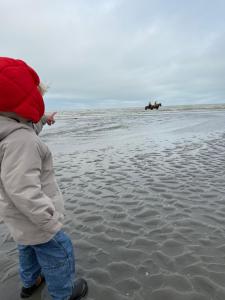 Prachtig, rustig en ruim appartement vlakbij zee