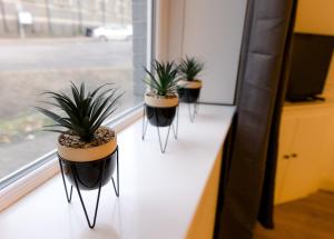 Modern 3-Bedroom Apartment with Garden Near Cardiff City Centre